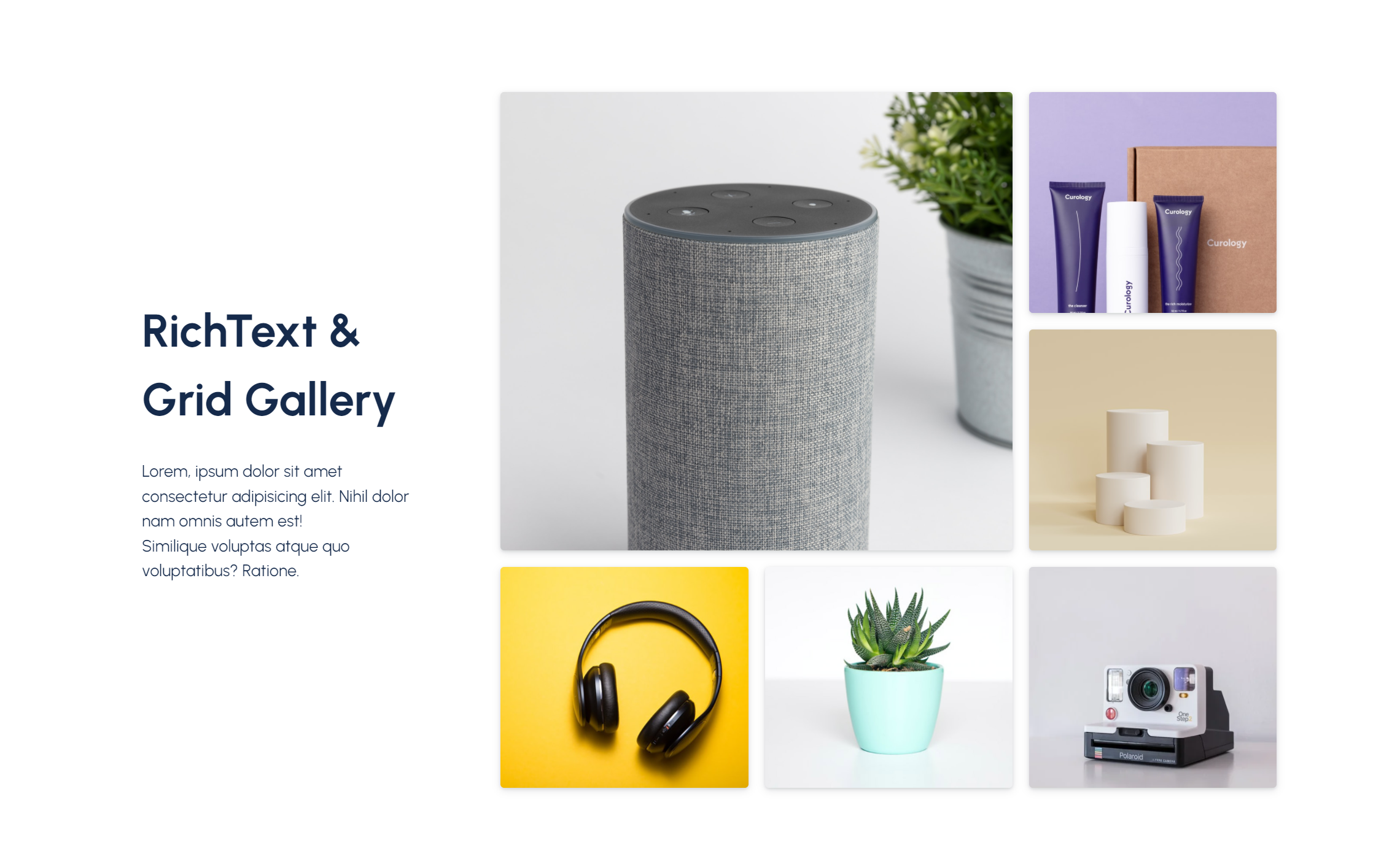 Richtext_and_Grid_Gallery