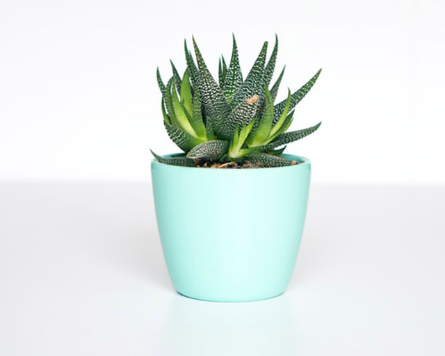 Stock placeholder image with grayscale geometrical mountain landscape